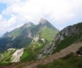 /album/fotogalerie-priroda/img-0075-jpg/